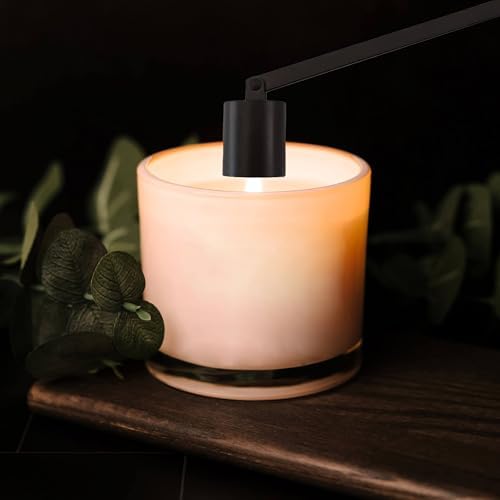 Candle Snuffer Extinguisher Long Handle Stainless Steel