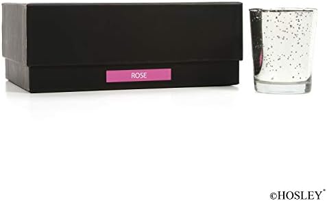 Hosley Premium Scented Glass-Filled Votive Candles 6-Pack Rose