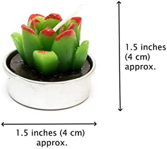 Phyther Cactus Tea Light Candles 12 Pieces Unscented Decor