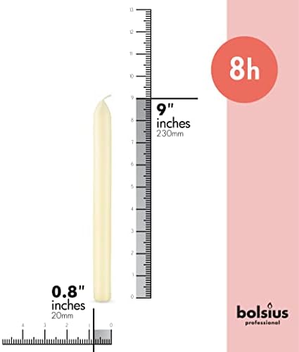 BOLSIUS Ivory Dinner Candles - 10-Pack