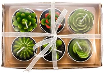 Phyther Cactus Tea Light Candles 12 Pieces Unscented Decor