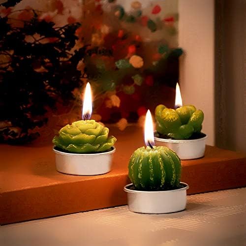 Phyther Cactus Tea Light Candles 12 Pieces Unscented Decor
