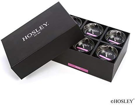 Hosley Premium Scented Glass-Filled Votive Candles 6-Pack Rose