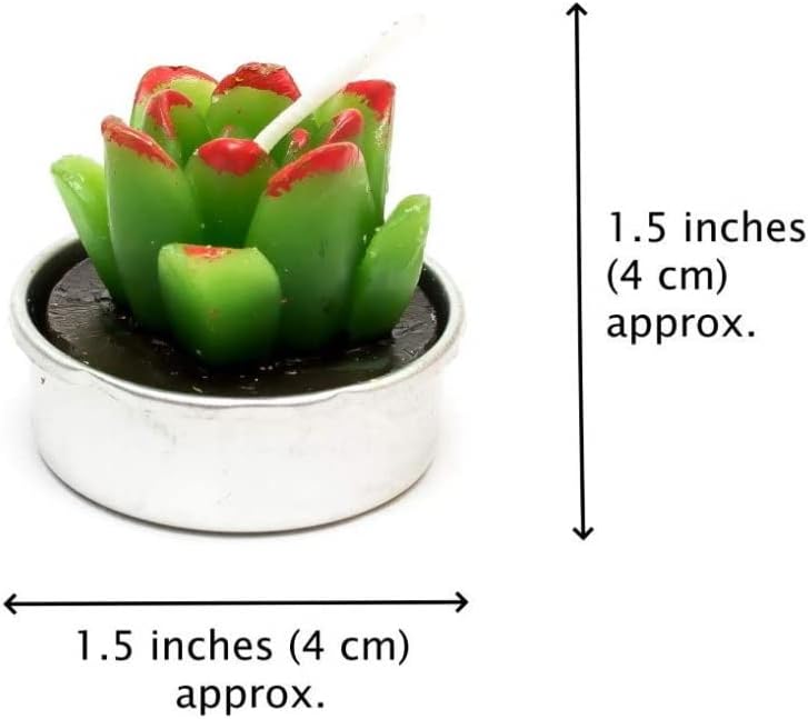 Phyther Cactus Tea Light Candles 12 Pieces Unscented Decor