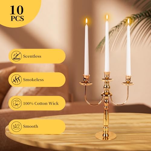 TAL White Unscented Taper Candles 10-Pack
