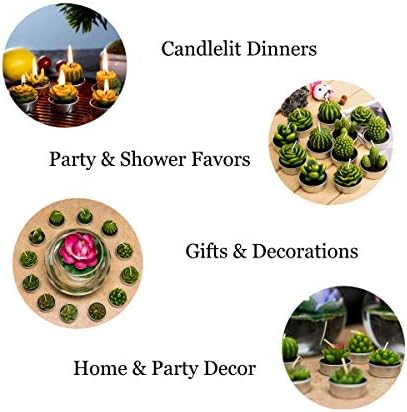 Phyther Cactus Tea Light Candles 12 Pieces Unscented Decor