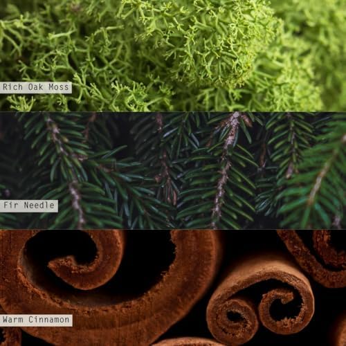 JDK Curated Noble Holiday Tin Trio Gift Set Balsam Cedar