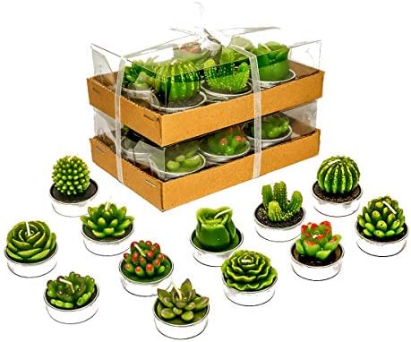 Phyther Cactus Tea Light Candles 12 Pieces Unscented Decor