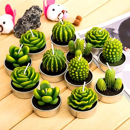 Phyther Cactus Tea Light Candles 12 Pieces Unscented Decor