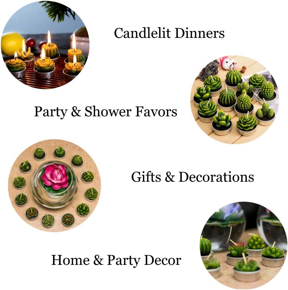 Phyther Cactus Tea Light Candles 12 Pieces Unscented Decor