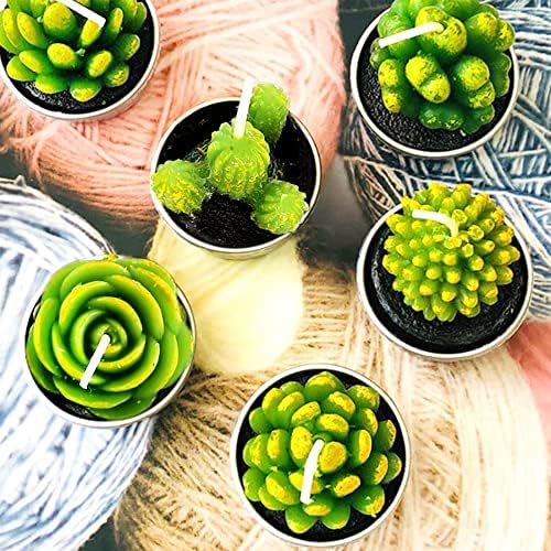 Phyther Cactus Tea Light Candles 12 Pieces Unscented Decor