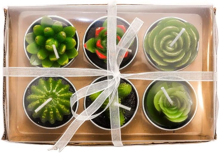 Phyther Cactus Tea Light Candles 12 Pieces Unscented Decor