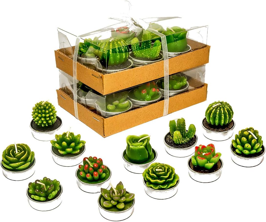 Phyther Cactus Tea Light Candles 12 Pieces Unscented Decor