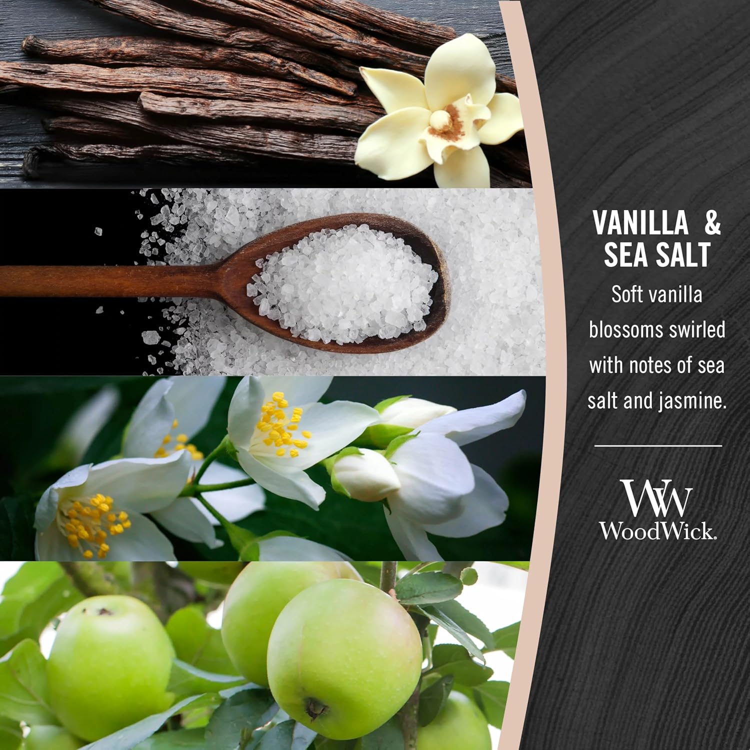 Vanilla Sea Salt Candle by WoodWick