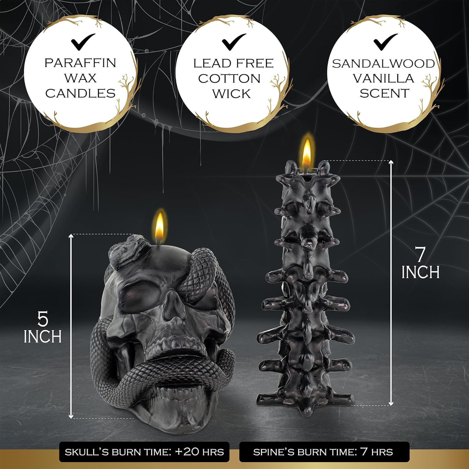 Exploring Spooky Kobi Knight Black Skull Gift Set